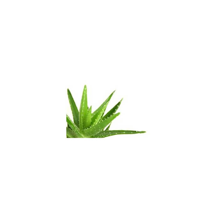 aloe vera gel