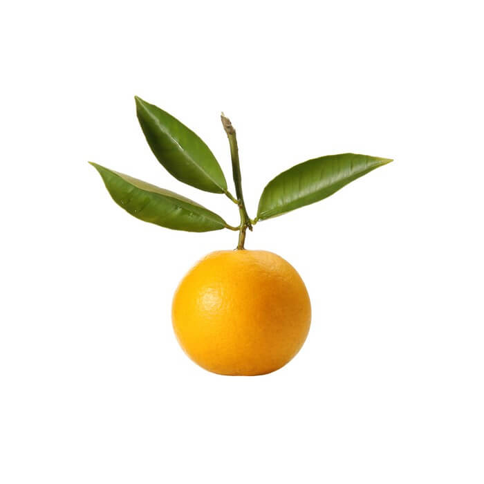 bergamot etarsko ulje