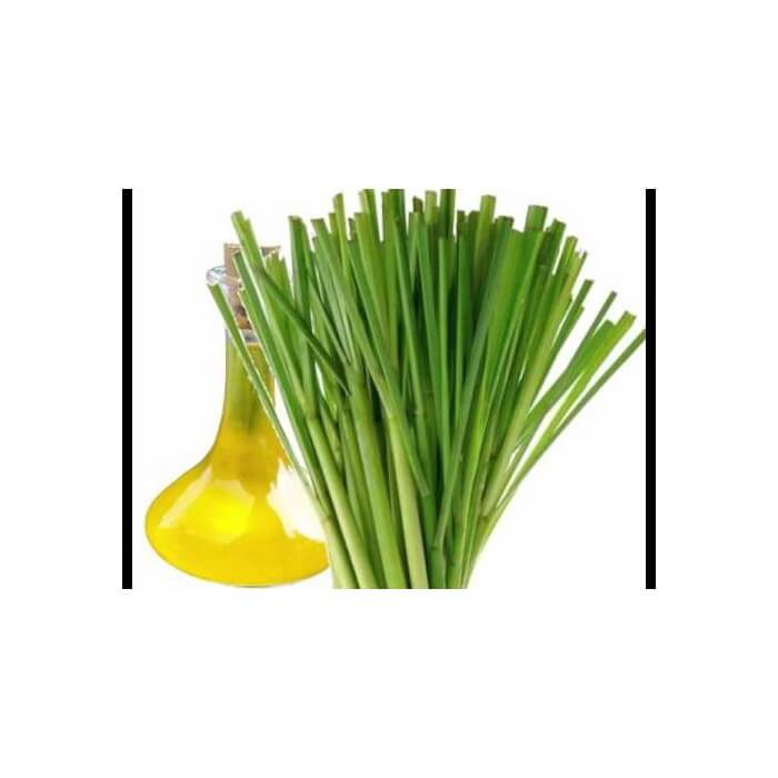 limunova trava