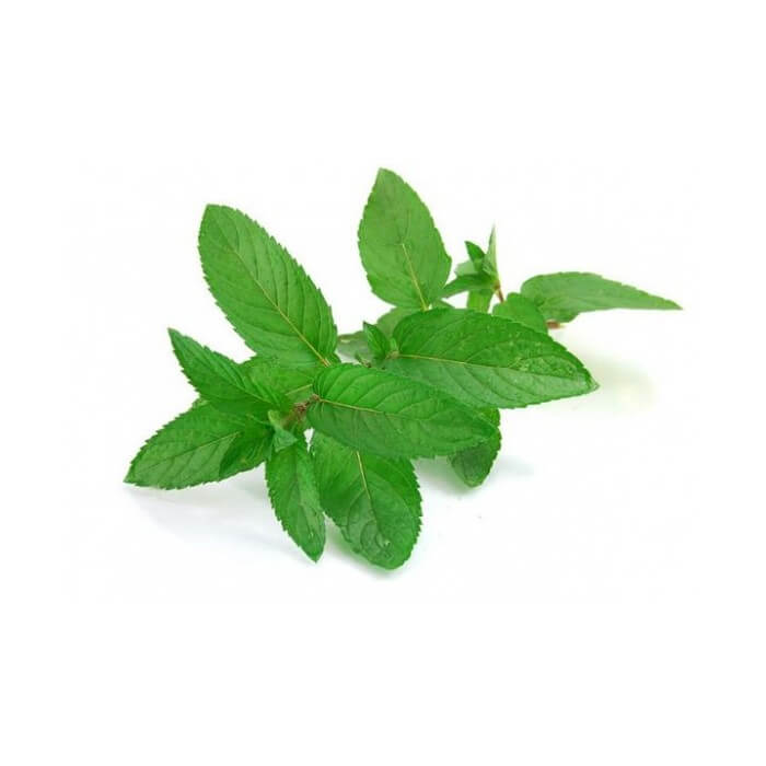 menta etarsko ulje