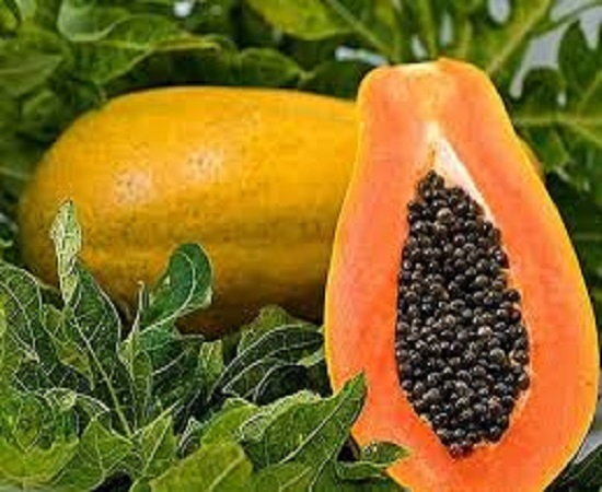 papaya